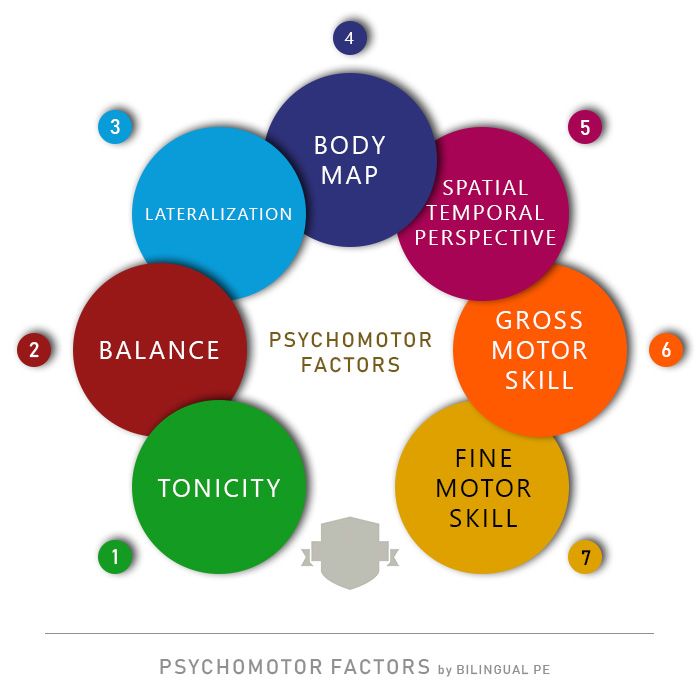 Psicomotricidade na Educação Física escolar: Fatores&nbsp;Psicomotores.
