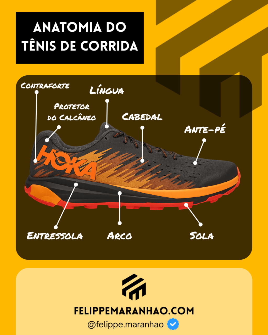 Anatomia do Tênis de&nbsp;Corrida